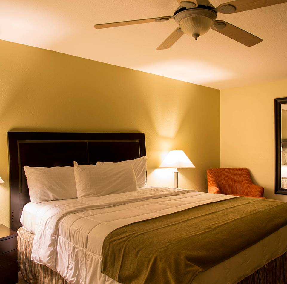 Honeymoon Suite